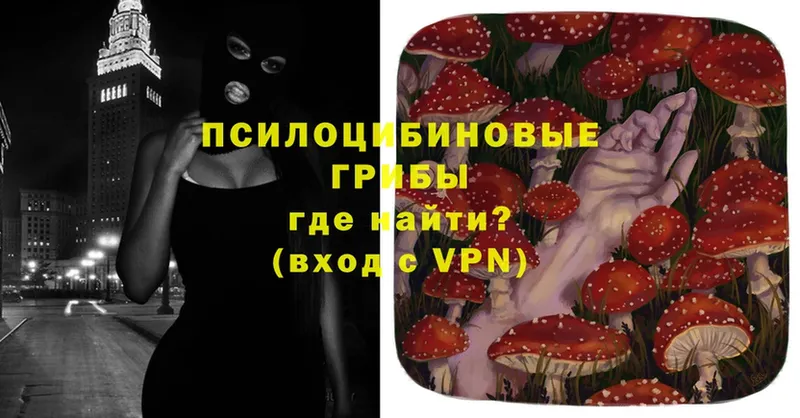 Псилоцибиновые грибы Psilocybe  Уяр 